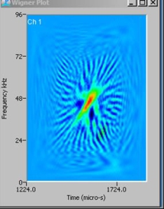 spectrogram showing beaked whale clicks